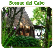 BOSQUE DEL CABO - TUCAN LIMO SERVICES