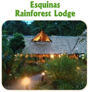Esquinas Rainforest Lodge- TUCAN LIMO SERVICES