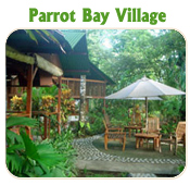 PARROT BAY VILLAGE- TUCAN LIMO SERVICES